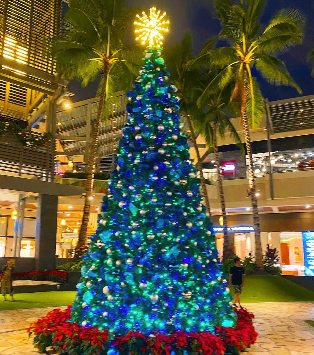 マキ・コニクソンさんのインスタグラム写真 - (マキ・コニクソンInstagram)「2019年Ala Moana SCのクリスマスツリー！グリーン&ブルーで素敵！ #ハワイのクリスマスツリーのおすそ分け🎄」12月6日 16時18分 - makikonikson