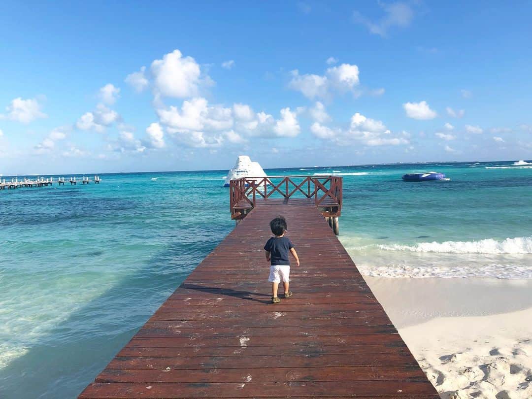 白渚すずさんのインスタグラム写真 - (白渚すずInstagram)「初日にはトボトボ歩きだった桟橋もスタスタと進める様に!! ただ海(特に波)怖いらしくなかなか近寄れず… 抱っこでなんとか… ・ #cancún #cancun #beach#ocean#blue #carib #caribbean #caribbeanbeach  #trip#travel #mexico #resort #カンクン#メキシコ#海#ビーチ#カリブ海#カリビアン#カリビアンブルー#旅行#リゾート#ny生活#ニューヨーク生活」12月6日 16時27分 - suzubell_44
