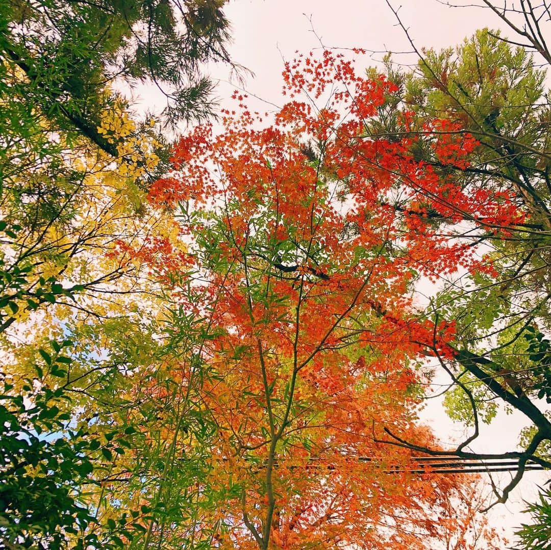 川本睦子のグルメインスタ