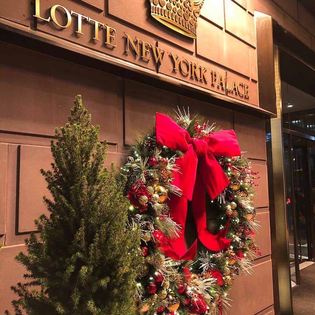 エイチ・アイ・エスさんのインスタグラム写真 - (エイチ・アイ・エスInstagram)「Today's Topic  ニューヨーク  ホテル情報② 憧れのホテルはクリスマスシーズンにもっと素敵になります🎄 . 『ロッテ ニューヨーク パレス』 鉄道王ヘンリー･ビラードによる豪奢な邸宅から始まった高級感あるラグジュアリークラスのホテルで、由緒正しい格式のある存在感を放っています。ホテル入り口を囲む門と中庭はクリスマスシーズンなると素敵なツリーを見ることができます。 ニューヨークを舞台にした人気海外ドラマのロケ地としても有名です。 . Photo Imformation 📍 ミッドタウンイースト「ロッテ ニューヨーク パレス」 . . ―― みんなで作るTravel BOOK ―― 旅好きな人が多い @his_japan のフォロワーの皆さんの情報を共有したい！ 1か国をピックアップして、 その国のトラベル情報やみんなのおすすめスポットをご紹介します♪ ▼募集中(12/15まで) フランスのお写真→ #his_france . ▼次回ご紹介する旅先 タイのお写真→ #his_thai 集まったトラベル情報はHISの各メディアやSNSでご紹介いたします😃 . ―― 今月の旅の思い出は ―― @his_japanをタグ付け頂き #LW12月の旅 で投稿お待ちしてます😃 (皆様のお写真をHISの旅メディア「Like the World」で記事にさせていただきます）」12月6日 17時22分 - his_japan