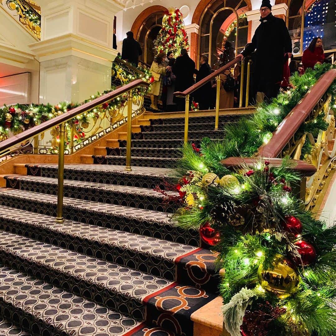 エイチ・アイ・エスさんのインスタグラム写真 - (エイチ・アイ・エスInstagram)「Today's Topic  ニューヨーク  ホテル情報② 憧れのホテルはクリスマスシーズンにもっと素敵になります🎄 . 『ロッテ ニューヨーク パレス』 鉄道王ヘンリー･ビラードによる豪奢な邸宅から始まった高級感あるラグジュアリークラスのホテルで、由緒正しい格式のある存在感を放っています。ホテル入り口を囲む門と中庭はクリスマスシーズンなると素敵なツリーを見ることができます。 ニューヨークを舞台にした人気海外ドラマのロケ地としても有名です。 . Photo Imformation 📍 ミッドタウンイースト「ロッテ ニューヨーク パレス」 . . ―― みんなで作るTravel BOOK ―― 旅好きな人が多い @his_japan のフォロワーの皆さんの情報を共有したい！ 1か国をピックアップして、 その国のトラベル情報やみんなのおすすめスポットをご紹介します♪ ▼募集中(12/15まで) フランスのお写真→ #his_france . ▼次回ご紹介する旅先 タイのお写真→ #his_thai 集まったトラベル情報はHISの各メディアやSNSでご紹介いたします😃 . ―― 今月の旅の思い出は ―― @his_japanをタグ付け頂き #LW12月の旅 で投稿お待ちしてます😃 (皆様のお写真をHISの旅メディア「Like the World」で記事にさせていただきます）」12月6日 17時22分 - his_japan