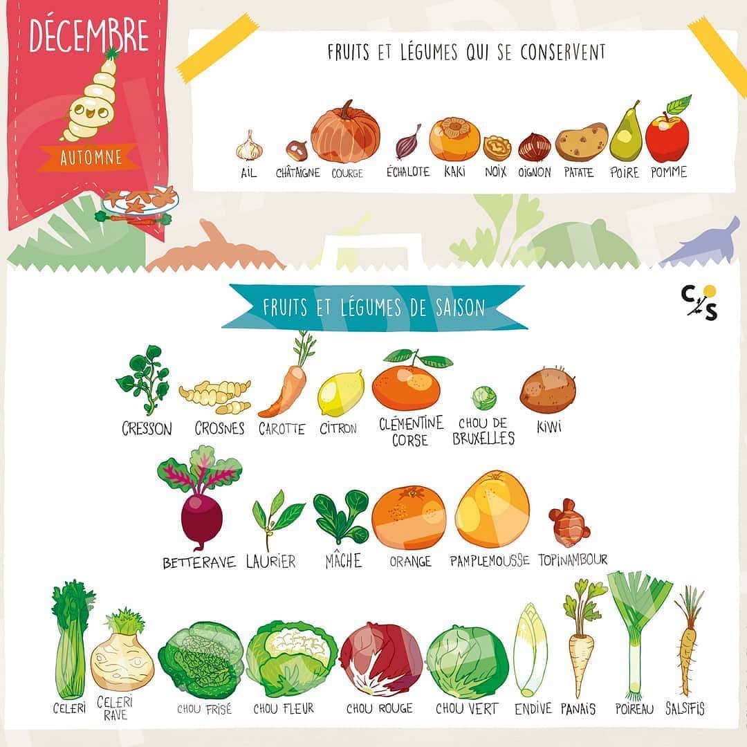 のインスタグラム：「#repost @clairesophiepissenlit ・・・ Le kiwi de nos régions arrive ainsi que la clémentine de Corse. Profitez-en, sa saison ne dure pas longtemps ! #csp #decembre #calendrierdesaison #fruitsetlegumes」