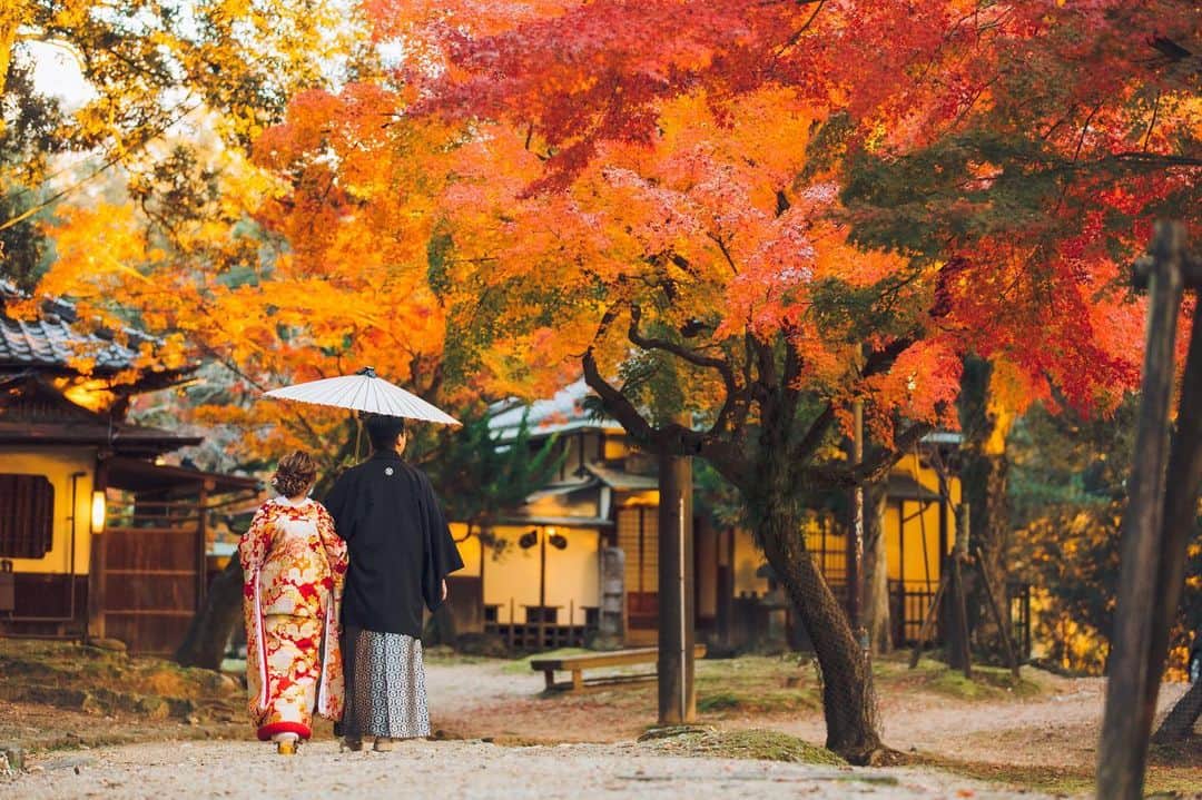Decollte Wedding Photographyのインスタグラム：「【奈良 Nara : 奈良公園 Nara park】Romantic atmosphere created by Red leaves🍁❤️ ﻿  Photographer @tsunagi_tvb  Makeup artist @misaki.y_hairmake ﻿ @studiotvb_nara  @decollte_weddingphoto﻿ @decollte_weddingstyle﻿ ﻿ ﻿ #japan #nara #autumnleaves #Decolltephotography #weddinginspiration #Weddingphotography #prewedding #weddingphoto #overseasprewedding #japaneseprewedding #japanwedding #landscapephotography #romantic #love #happiness #日本 #奈良 #海外婚紗 #婚紗 #唯美 #신부 #웨딩 #웨딩사진」