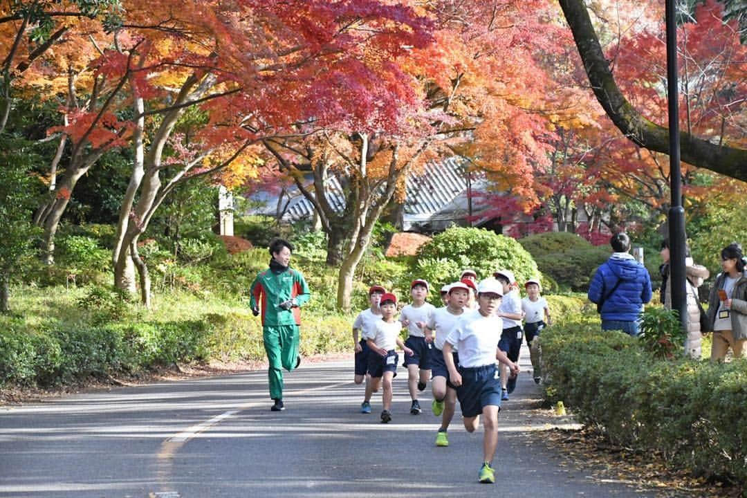 公益財団法人モラロジー研究所さんのインスタグラム写真 - (公益財団法人モラロジー研究所Instagram)「柏キャンパスの紅葉。イチョウはだいたい終わり、紅葉が色鮮やか。昨日は近隣小学校のマラソン大会が実施され、子供たちが力走。麗澤大学陸上競技部の学生がお手伝いをしました。 #隠れた名所 #紅葉 #紅葉狩り #柏市 #広場 #自然 #広場」12月6日 18時21分 - the_moralogy_foundation