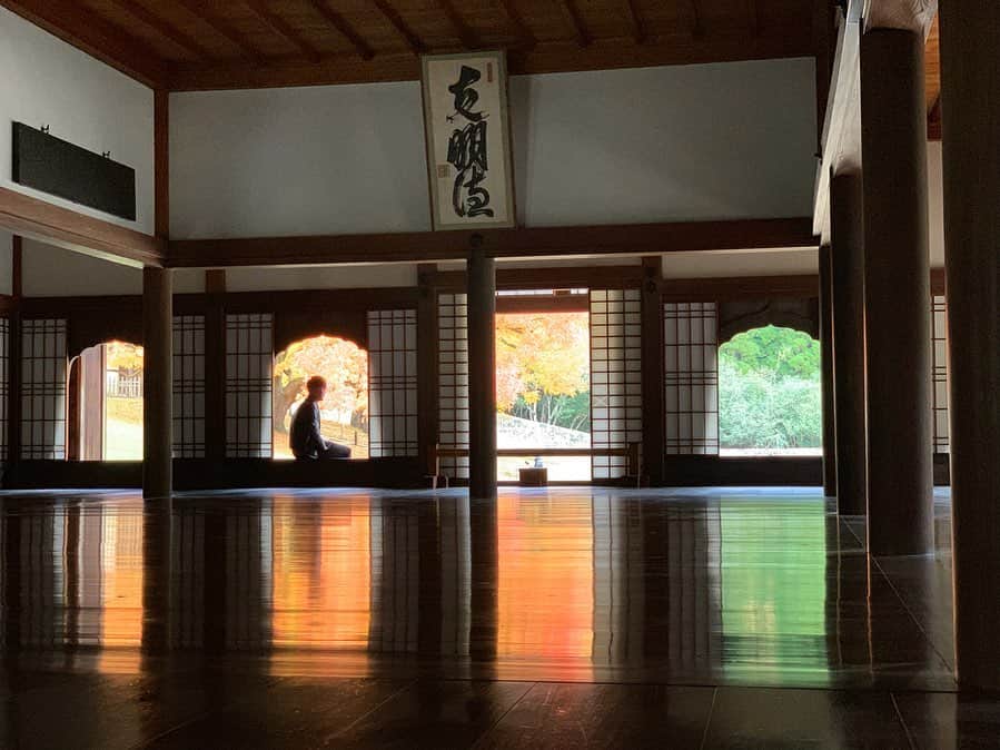 のインスタグラム：「鮮やかな色なんです🍁  #紅葉 #岡山県 #閑谷学校 #dayoff  #okayama #japan」