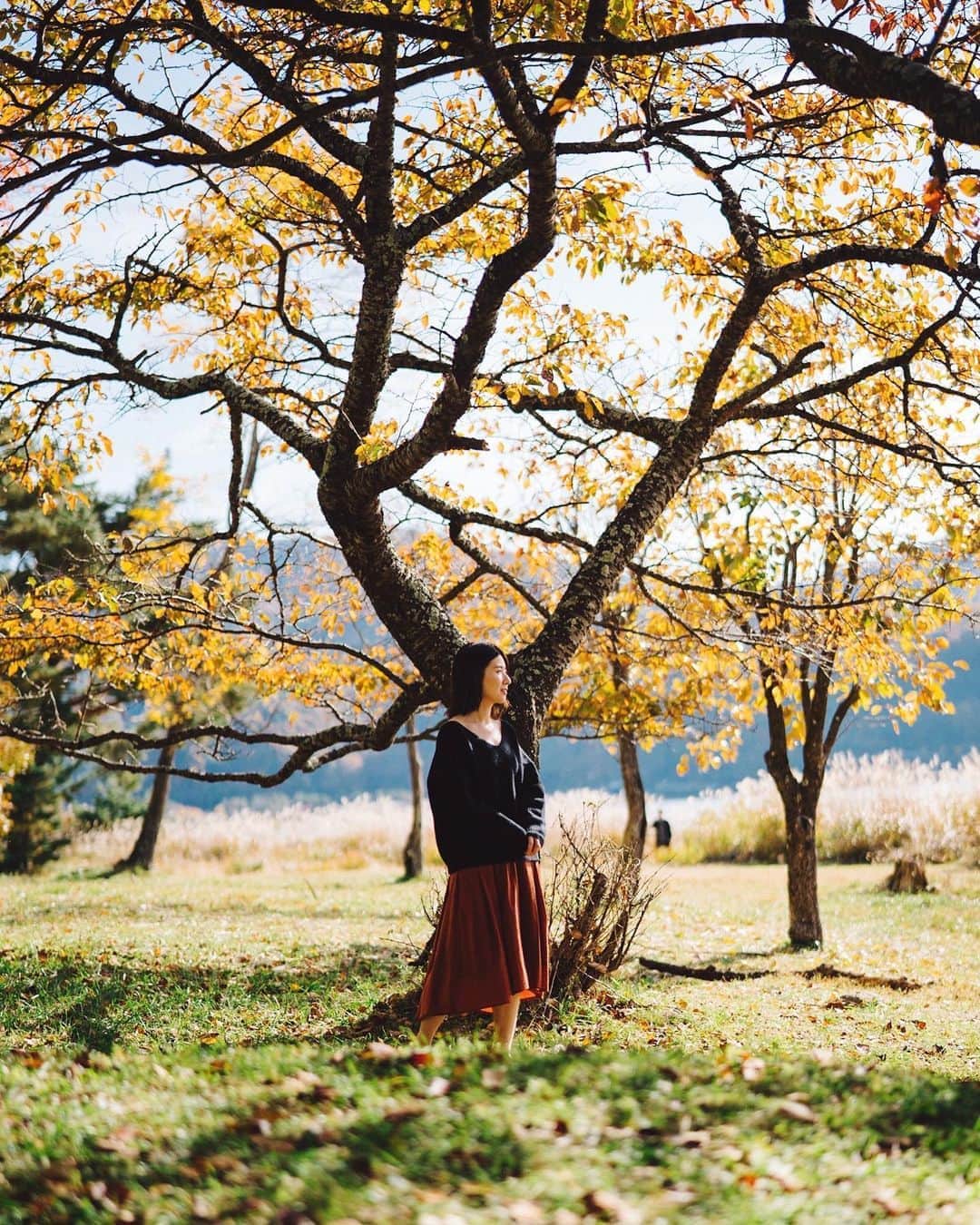 GENTAのインスタグラム：「🍂 The season is passing #planar」