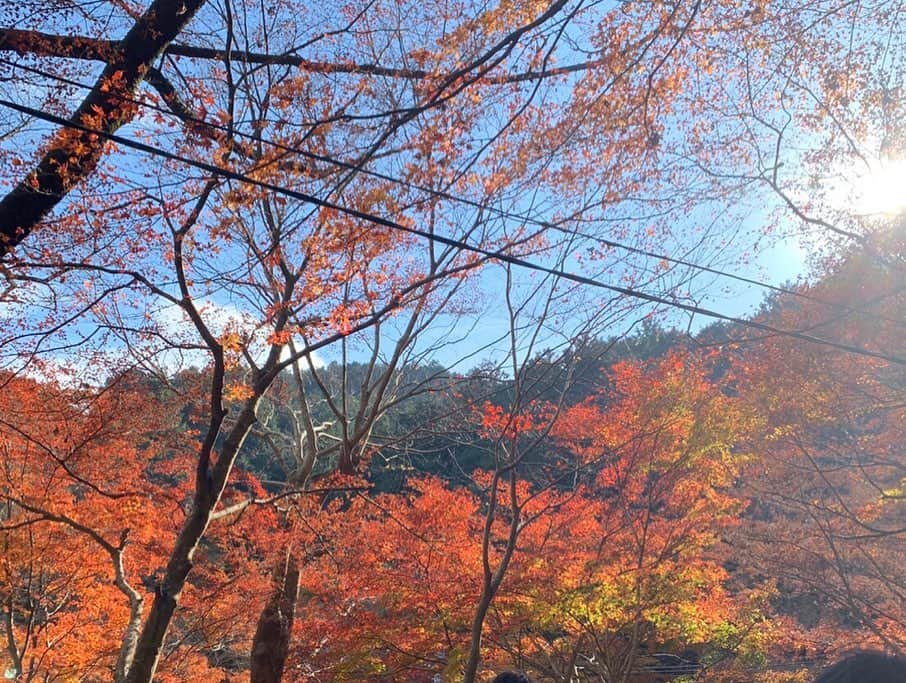 MIAKAさんのインスタグラム写真 - (MIAKAInstagram)「#高尾山 の紅葉が見頃だとゆう事で見に行ってきたよ🍁 天気良き、空気美味しい、絶景と紅葉に包まれて気分リフレッシュ！私はたまに自然に触れないとダメだから凄く癒された〜 #高尾山紅葉 レポお付き合い下さいませ！ ・ ・ ・ #部活 #アクティ部 #高尾山登山 #紅葉デート #紅葉の季節 #紅葉スポット #紅葉シーズン #紅葉巡り #紅葉散歩 #紅葉綺麗 #もみじ🍁 #自然遊び #自然満喫 #miaka」12月6日 21時09分 - miaka.jp