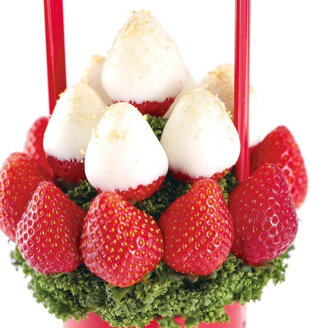 Fruit-bouquets.comのインスタグラム：「Petit BERRY BERRY (プチベリーベリー白) イチゴが美味しい季節限定の人気商品🍓 . BERRY BERRYをカップルや夫婦でも楽しみやすいXSサイズにしました！ . 白と赤のコントラストが美しいイチゴをアレンジメントしたフルーツブーケ💐 . フランス産高級ホワイトチョコレートにディップしたイチゴの上には金箔をトッピング。 . ホワイトチョコレートとイチゴの相性は抜群✨ 是非ご堪能ください。 . #フルーツブーケ #プレジール #フルーツ #花束  #西千葉 #千葉 #フルーツケーキ #果物  #サプライズケーキ #お祝い #記念日 #贈り物  #クリスマス #パーティー #クリスマス🎄  #サプライズプレゼント #イチゴ  #インスタ映え #インスタ映えスイーツ  #スイーツ #ギフト #サプライズプレゼント  #クリスマスケーキ #インスタ映えケーキ  #クリスマススイーツ #クリスマスギフト  #フォトジェニック #ホームパーティー  #クリスマスプレゼント #クリスマスパーティー」