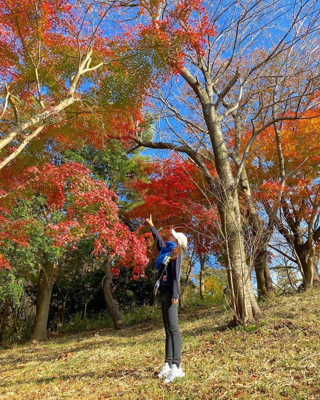 中島亜莉沙さんのインスタグラム写真 - (中島亜莉沙Instagram)「第56回ゴルフ日本シリーズ﻿ JTカップに観戦行ってきたよ🌟﻿ ﻿ 思ったことはプロのショット音と﻿ ロケットの発射音は同じ説🙆‍♀️笑﻿ ﻿ 紅葉綺麗だったり、﻿ 優勝者予想の投票コーナー﻿ あったりとっても楽しめた😇✊🏻﻿ ﻿ #golf #golftour  #jtcup ﻿ #男子プロゴルフツアー #日本シリーズJTカップ﻿ #男子ゴルフ #プロゴルファー #ゴルフ観戦 #東京よみうりカントリー #紅葉」12月6日 21時03分 - arisan_days