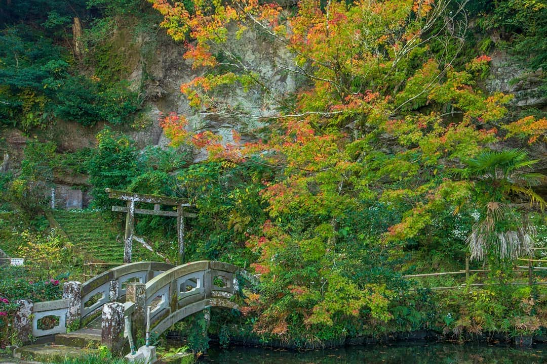 鹿児島よかもん再発見さんのインスタグラム写真 - (鹿児島よかもん再発見Instagram)「志布志市の宝満寺跡へ(^-^)/ R1.12.1撮影  廃仏毀釈前の池などが今も残る薩摩三名刹のひとつだった宝満寺跡  #鹿児島 #鹿児島観光 #どんどん鹿児島 #志布志 #志布志観光 #寺跡 #宝満寺  #紅葉 #鹿児島紅葉 #鹿児島の風景 #kagoshimaphotograph  #kagoshima #japan」12月6日 21時14分 - kagoshimayokamon