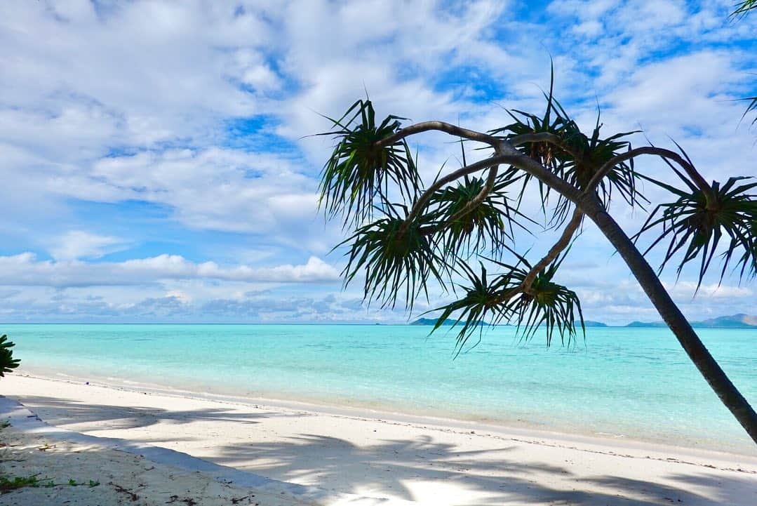 かなさんのインスタグラム写真 - (かなInstagram)「透明度の高い海に真っ白な砂浜🏝✨　#景色に癒される　#パマリカン島 #アマンプロ #AMANPULO #アマンリゾート #amanresorts #mytrip #travel #スールー海 #砂浜 #南国 #美しい景色#luxurytravel #Philippines #海外旅行 #PamalicanIsland」12月6日 21時21分 - kanapi24