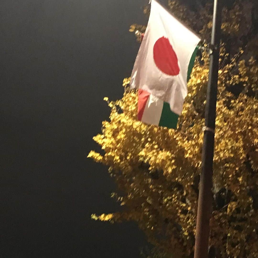 銘苅淳のインスタグラム：「安倍首相主催の晩餐会にご招待賜りまして、行って参りました。 総理大臣公邸というのは、厳かで品があり、歴史を感じました。  貴重な経験となりました。  国家に出てくるさざれ石。 見たことありますか？  メカルは見たぜ〜イェーイ！！ #ハンガリー #国交150周年 #総理大臣公邸 #歴代首相の写真が並ぶ部屋は圧巻でした」
