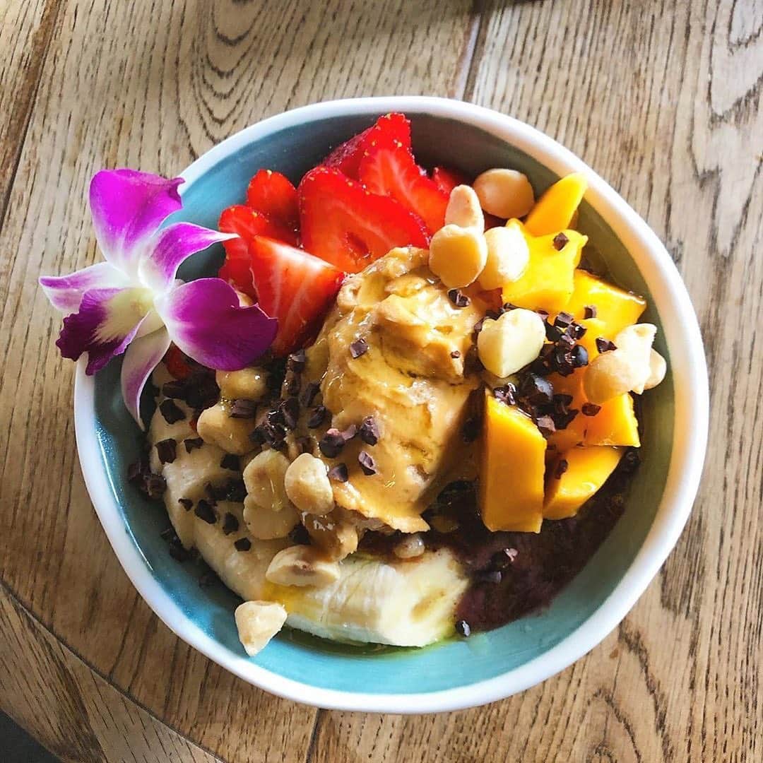 Sambazonのインスタグラム