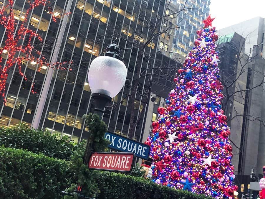 白渚すずのインスタグラム：「NYの街はすっかりX'masモード。 ホッコリして、ちょっと寒さが和らぐ感じ🎄 ・ #X'mas#Christmas#Christmastree#christmasdecoration#illumination#holiday#horlidayseason#ny#nyc#america #クリスマス#クリスマスデコレーション#クリスマスツリー#ニューヨーク#アメリカ#ニューヨーク生活」