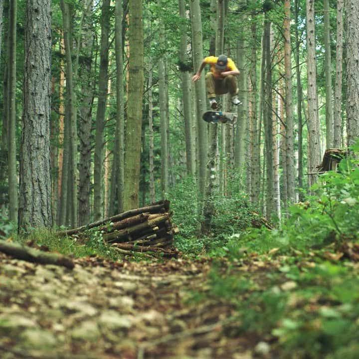 のインスタグラム：「you see the woods ... we see a new skate park . 🛹: @ryandecenzo, @giovanni_vianna, @luizfrancis.co, @iglesiasmauro, @gustavoribeiro  #redbull #givesyouwings #woods #skate #skateboarding #skater #skatepark」