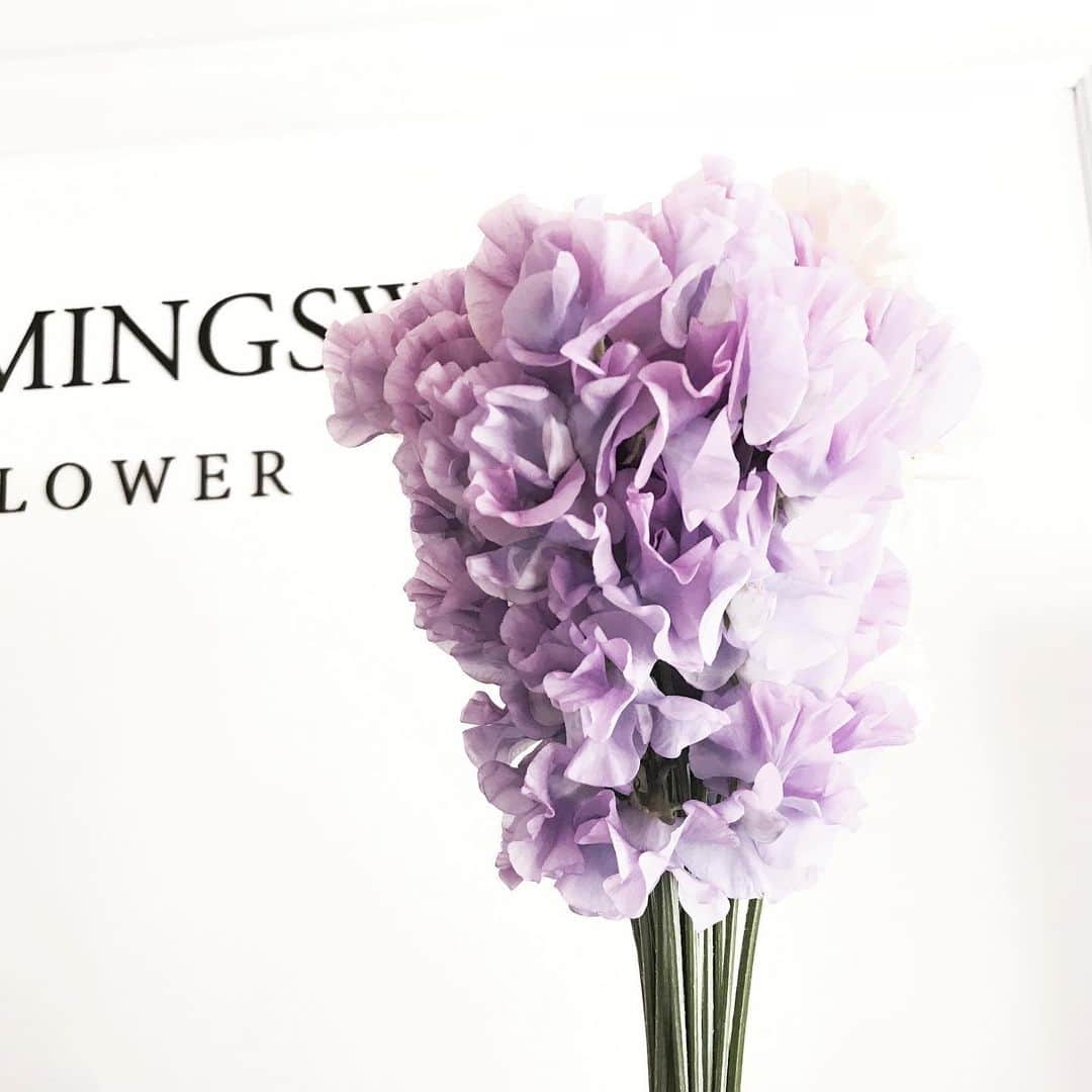 Florist.janeさんのインスタグラム写真 - (Florist.janeInstagram)「기분 좋아지는 사진 💜 #스윗피 #스위트피 💜」12月7日 8時01分 - jane.florist
