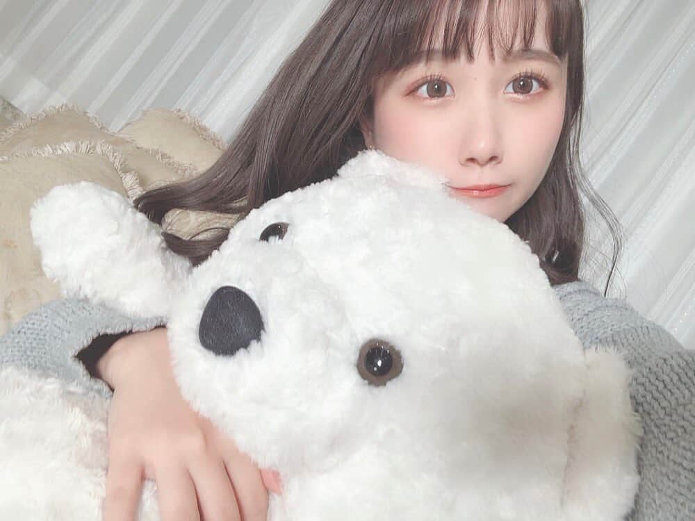 のインスタグラム：「. . スタジオにいたクマ🐻🎀 . . #七瀬美桜 #グラビアアイドル #グラドル #新人グラドル #グラドル自撮り部 #自撮り #クマ #くま #ぬいぐるみ #テディベア #撮影会 #私服 #ニット #followme」