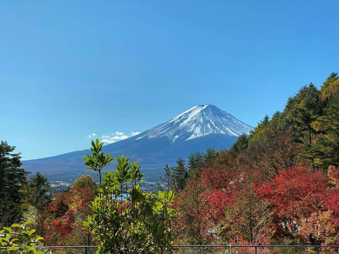 としみつさんのインスタグラム写真 - (としみつInstagram)「旅行の旅！山梨での写真！🗻 山梨はゆったりしていて良いところでした。ドライブにも最適ですね。今度はワイン飲みたいです🍷  また行きたいなぁ。  #東海オンエア #山梨県 #旅行の旅」12月7日 0時31分 - toshimitsu_tokaionair