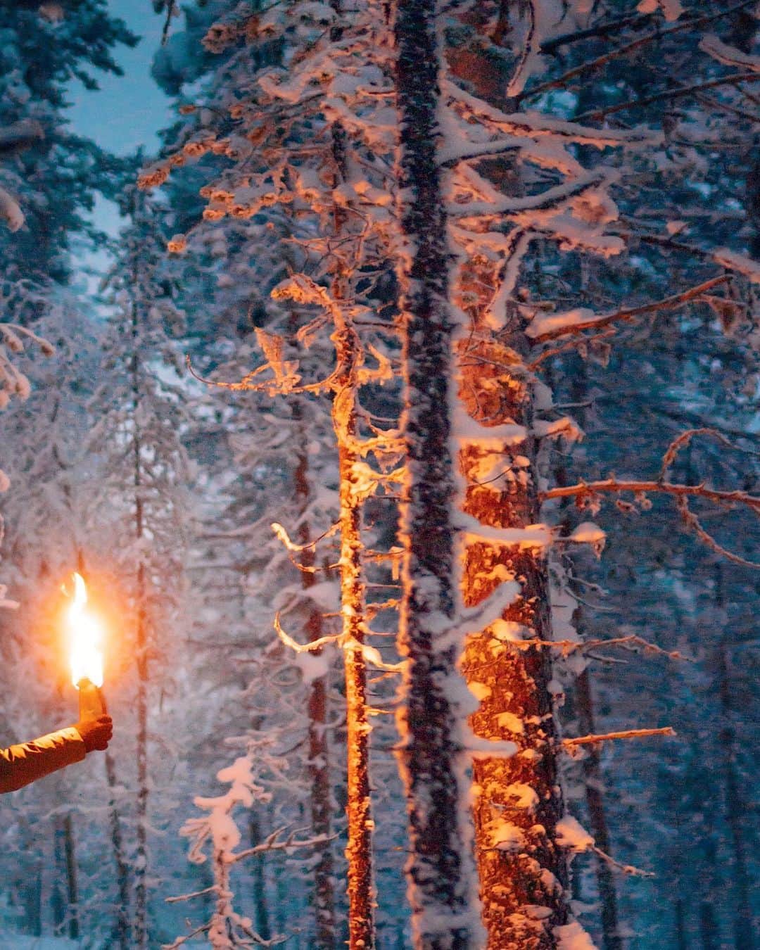 Simone Bramanteさんのインスタグラム写真 - (Simone BramanteInstagram)「{ 🔥+❄️ } • The complementary contrast of cold and warm tones is the most relevant experience of walking in a white forest while the blue of the long winter night arrives. #sonyalpha」12月7日 0時50分 - brahmino
