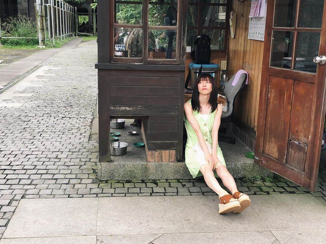 真山りかさんのインスタグラム写真 - (真山りかInstagram)「.﻿ ﻿ #麗花 オフショット✌︎﻿ ﻿ 22歳とにゃんにゃん！いう事で﻿ 台湾にて猫村と呼ばれる村﻿ 猴硐にも行ってきました🐈﻿ ﻿ 本当に猫ちゃんだらけだったので私の推し猫を…笑﻿ 電車に乗ったのも旅気分で楽しかったな！﻿ ﻿ 明日は紀伊國屋書店グランフロント大阪店さんで﻿ 麗花のお渡し会があるよ〜〜まってるね🙍‍♀️🙍‍♀️﻿ ﻿ #真山写真集 ﻿ #台湾 #猴硐 #我的最愛﻿ ﻿ #まやまにあ﻿ ﻿ .」12月7日 0時52分 - ma_yama_official