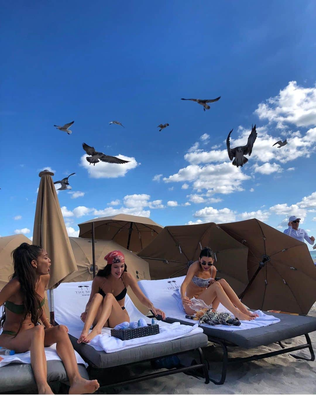 ベラ・ハディッドさんのインスタグラム写真 - (ベラ・ハディッドInstagram)12月7日 2時36分 - bellahadid