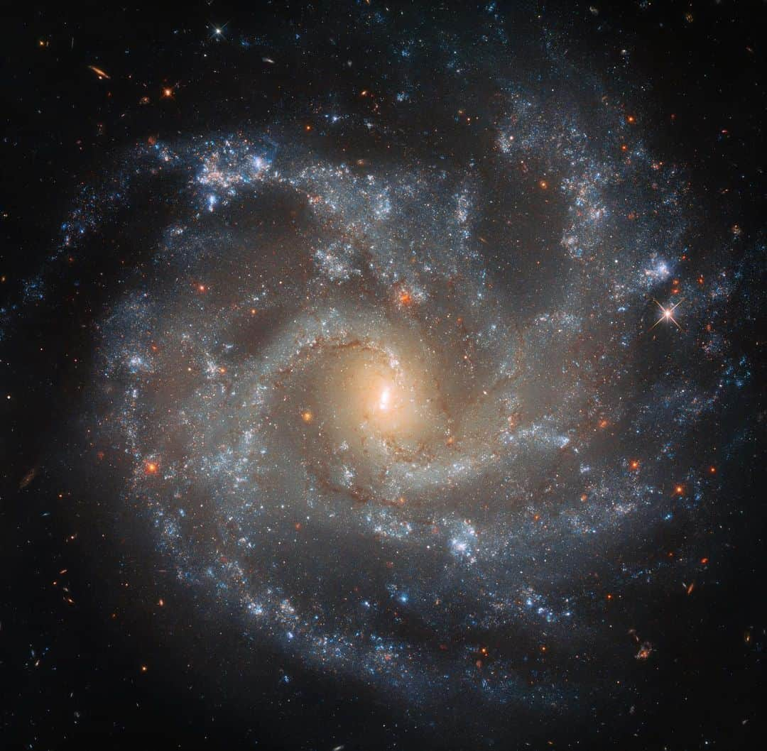 NASAさんのインスタグラム写真 - (NASAInstagram)「Hubble, Hubble, Hubble can’t you see? Sometimes your photos just hypnotize me. 🌀⁣⁣⠀⁣ ⁣⁣⁣ ⁣ Outright mesmerizing, this spiral galaxy (NGC 5468) was captured in beautiful detail by our @NASAHubble Telescope. See those REALLY bright lights? Those are dying stars. ⁣ ⁣ ⁣ Such events create catastrophic explosions known as supernovae, which are some of the most dramatic occurrences in the universe. By either depleting their fuel and collapsing inward or siphoning mass off a companion object and igniting runaway nuclear fusion, they result in intensely bright objects that can rival the light of a whole galaxy. Can you spot the supernovae in this spiral galaxy? ⁣⁣⠀⁣ ⁣⁣⠀⁣ Image credit: @europeanspaceagency/Hubble & NASA, W. Li et al⁣⁣⠀⁣ ⁣⁣⠀⁣ #NASA #Dramatic #Galaxy #Biggie #Stars #ShineBright⁣⁣⠀⁣」12月7日 6時29分 - nasa