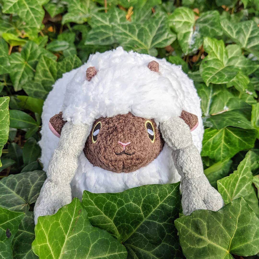 Pokémonさんのインスタグラム写真 - (PokémonInstagram)「We know you’re eager to add some friends from Galar to your collection, US Trainers—you’ll soon get your chance! 📆 Wooloo, Drednaw, Corviknight, Gossifleur, and Eldegoss will arrive at the #PokemonCenter on Friday, December 13.」12月7日 6時51分 - pokemon