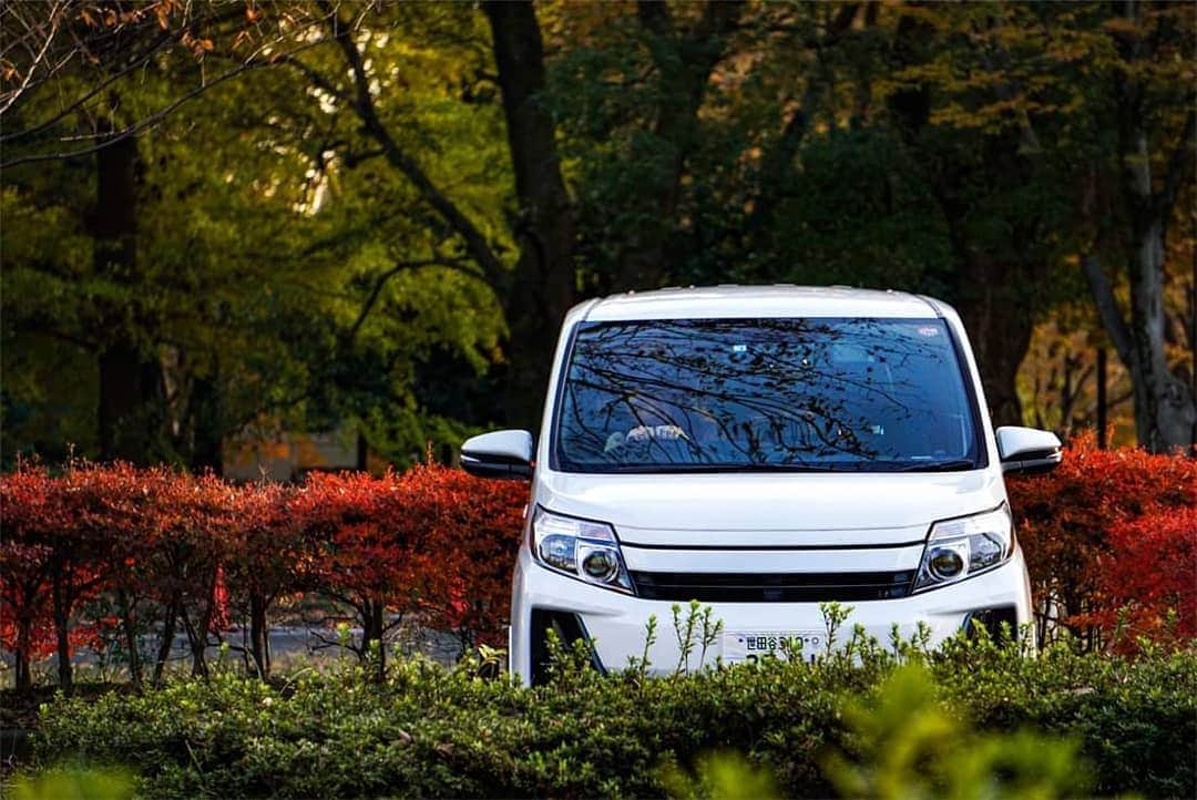 TokyoToyopet Girl meets carのインスタグラム