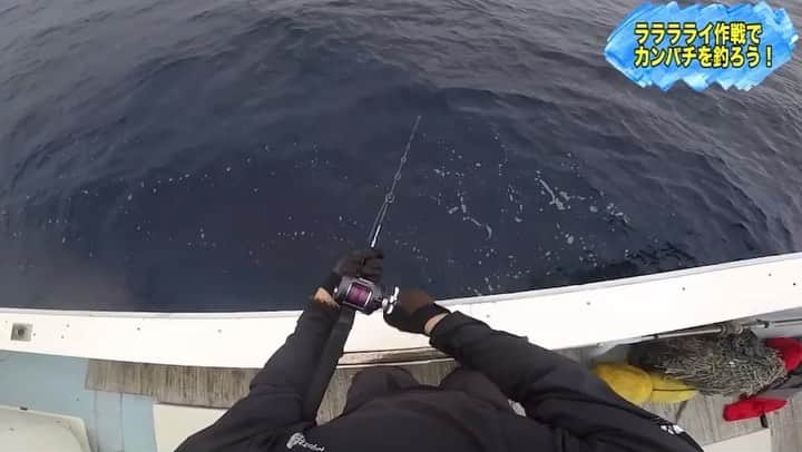 田崎佑一のインスタグラム：「youtubeの企画で種子島にカンパチを釣りに行ってきました🎣海に落ちそうになるくらいパワーのあるカンパチ！なかなか迫力のある映像が撮れました！是非youtube「たさちゃんねる」で見てみて下さい！お願いしまーす！ #釣り #フィッシング #ジギング #種子島 #カンパチ #ライジグ」