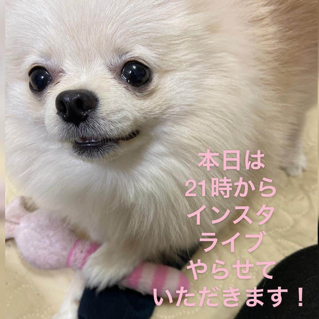 やしろ優さんのインスタグラム写真 - (やしろ優Instagram)「よろしくお願いします！」12月7日 17時48分 - yashiroyuuuu