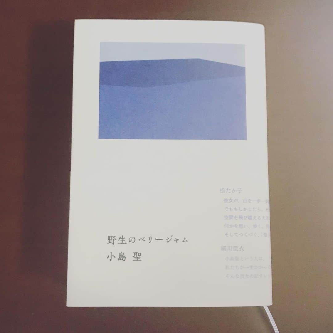 阿部純子さんのインスタグラム写真 - (阿部純子Instagram)「著者である、女優・小島聖さんご自身から頂いたご本。 ・ 空き時間、旅の話を前のめりで伺っていたワタシを見て、 現場に持ってきて下さったのです！😳✨ 本当にありがとうございますっ💕🤲 ・ ・ ネパール、スイス、フランス、ジョン・ミューア・トレイル、そしてアラスカ…での旅のエッセイ。 ・ 一人旅から二人旅、三人旅になり、 写真の雰囲気や食べるものも変わってゆきます。 ・ ・ そこでの旅路を想像していると、 今生きている時間の感覚や目に見える空間だけがすべてではないのかなぁと思いました。 ・ それを心に留めておくことが、 日常からの息継ぎのような、、 豊かさに変わるのだろうか、 と思いました。 ・ ・ #小島聖　#野生のベリージャム　#ありがとうございますっ♡😊　#じゅんこの読書日記📖」12月7日 9時08分 - junkoabe_official