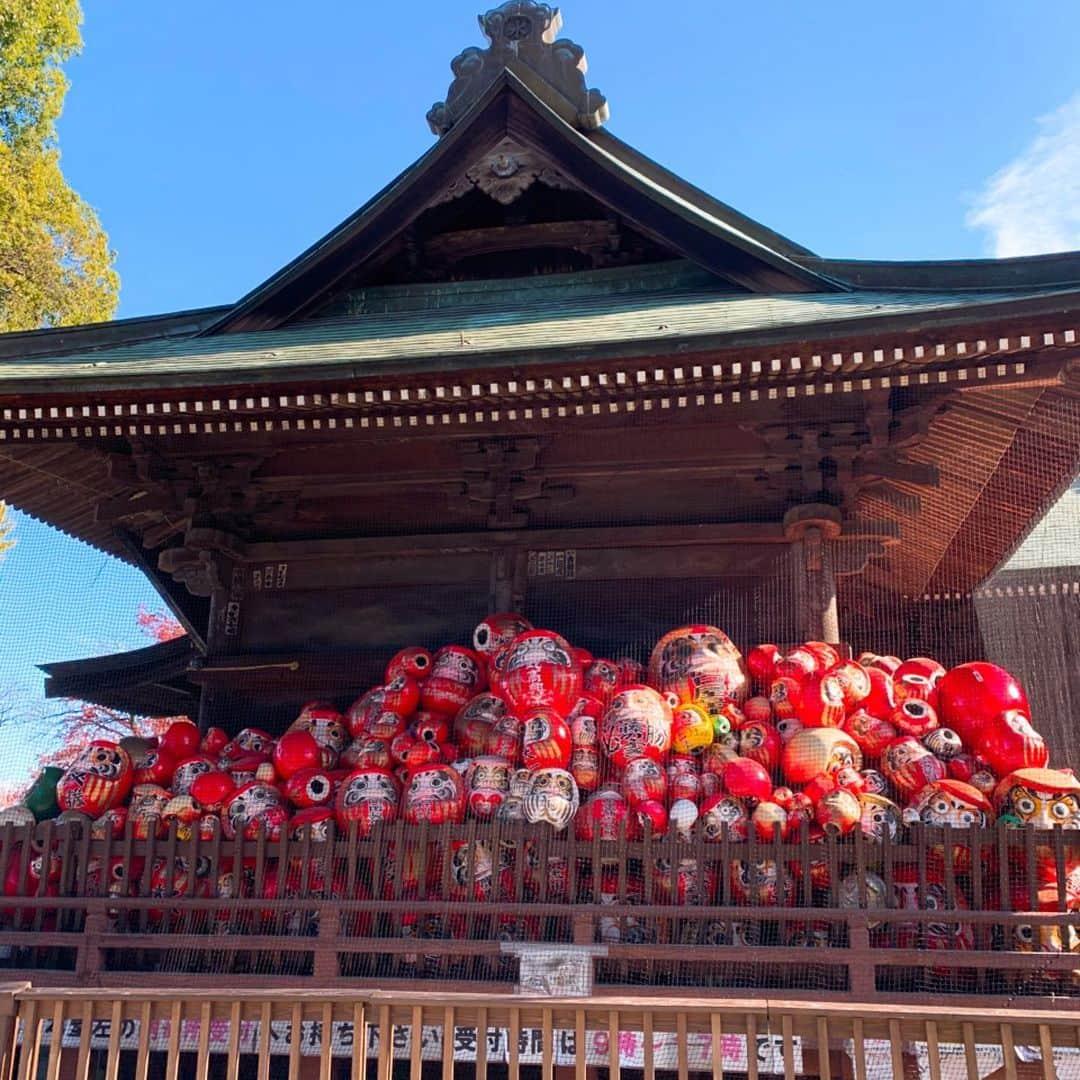 カイヤさんのインスタグラム写真 - (カイヤInstagram)「Shorinzan Darumaji Temple Takasaki⛩ 少林山達磨寺高崎⛩ . . . . . . . . . . . . #caiya #カイヤ #temple #daruma #fortune  #goodluck #gunma #takasaki #tradition  #ritual #japan #trip #family #love #heart  #cute #culture #happy #prayer #success #victory #dreamscometrue」12月7日 10時09分 - caiya.kawasaki