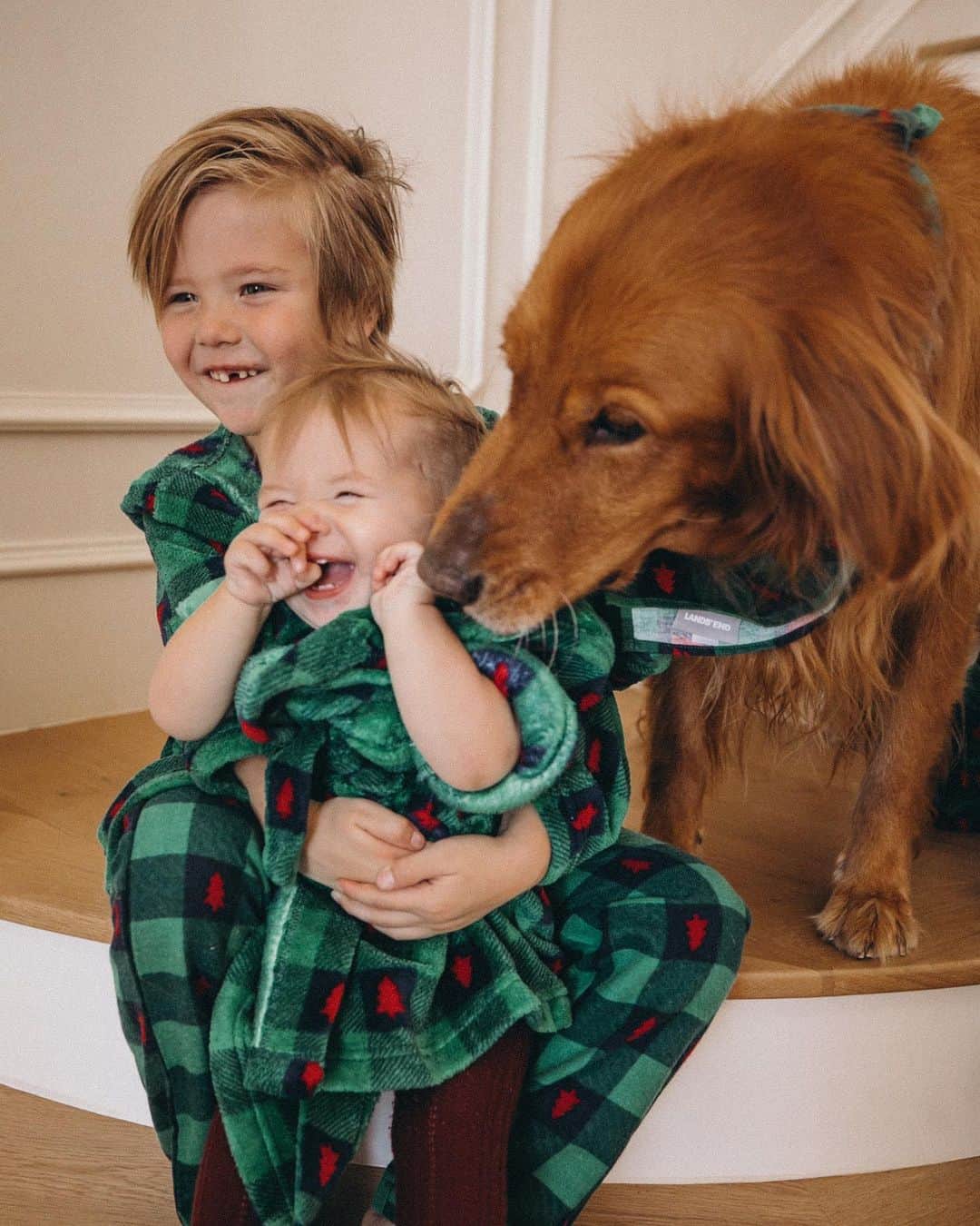 Amber Fillerup Clarkさんのインスタグラム写真 - (Amber Fillerup ClarkInstagram)「Family jammies 🥰🎄❤️🎄 these ones are from @landsend and they even have the scarf for your pup. Swipe to see frank getting slobbered on 🙈🐶 #LandsEndPartner #LandsEndHoliday」12月7日 10時21分 - amberfillerup
