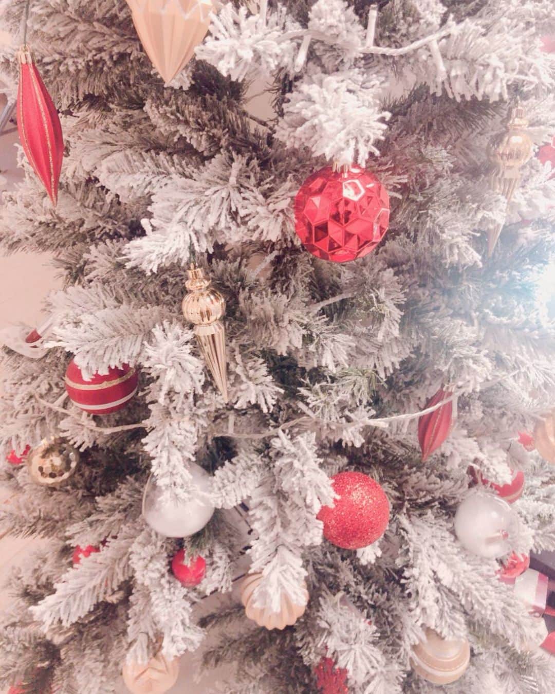 増田愛里菜のインスタグラム：「. メルピコ ( @salon_mercipico )にある大きなツリー🎄🎄🎄 . . 今年はツリーに雪がついてるのが流行りなんだね⛄️💗❄️ . かわいい🥺 . . . 我が家は毎年ツリーにダッフィーのぬいぐるみ(#ぬいば )を飾ってるよ🧸🎄🎁 . . みんなのお家のツリーはどんなかな🏠💭💕 . #christmas #christmastree #Xmas # mercipico #メルシーピコ #メルピコ #プライベートサロン #エステ #スキンケア #美肌 #潤い肌 #クリスマス #クリスマスツリー」