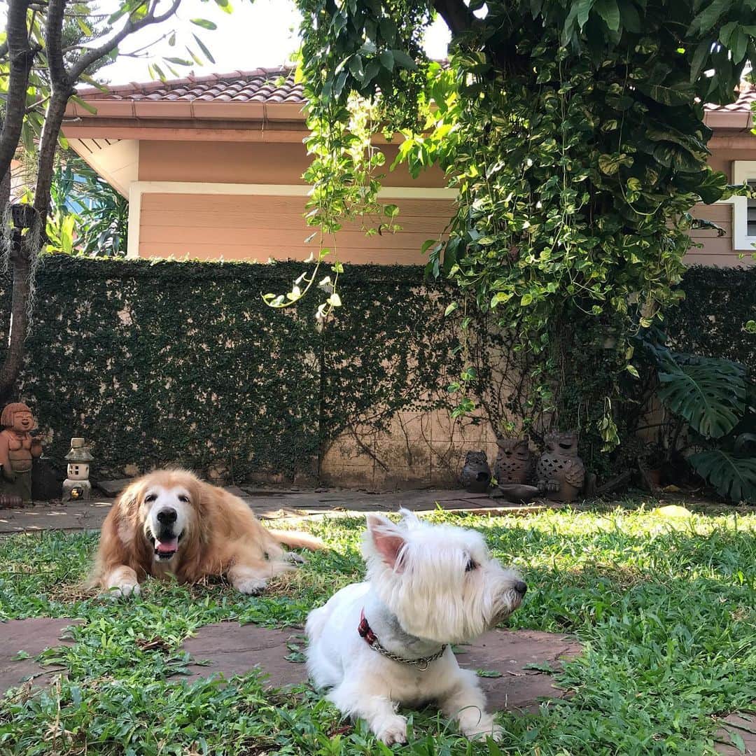 Hoykong&Plamuekのインスタグラム：「Another nice weather day❤️ ชิลล์มากกกก」