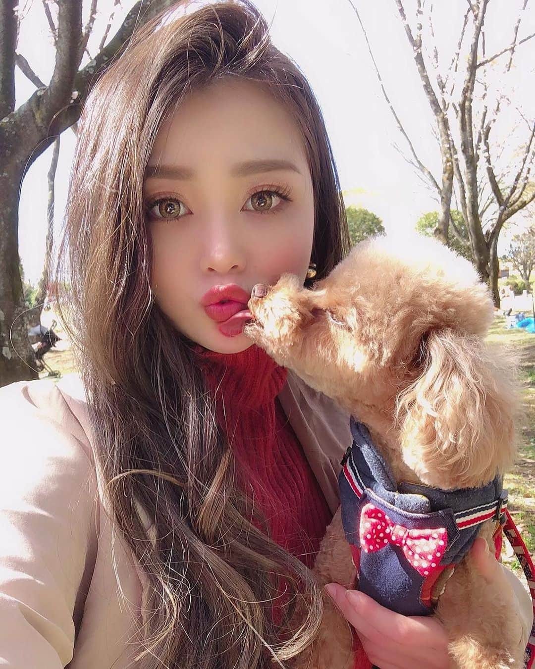 美女美容事情のグルメインスタ