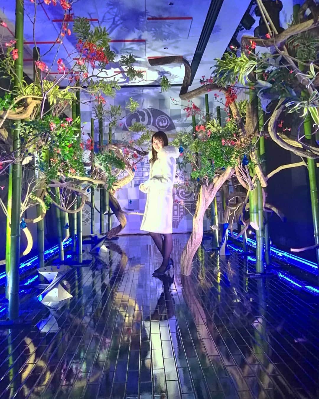 杉山由紀子のインスタグラム：「レセプションへ✨ * 今日から、神田明神で開催される✨ " 江戸東京あかり展 "へ先に行ってきました💓💓 * 凄く最初のところから、 『わぁー😍💓』と息が漏れてしまうくらい感動✨✨ * イルミネーション的な明かりも好きですが、このイベントの明かりも本当に素敵💓 * ぜひともみなさんも体験してみてくださいね🎵🎵🎵 * * * #神田明神 #江戸東京あかり展 #イベント #今日から #神社 #レセプション」