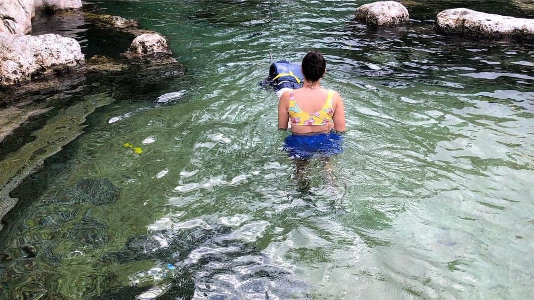 大西宏明さんのインスタグラム写真 - (大西宏明Instagram)「泳げる水族館🐠🐡🐟 綺麗な魚いっぱい‼️ 想像以上に深くて焦った😳  ホテルの無料アクティビティ✨✨ #泳げる水族館 #ホテル #アクティビティ #綺麗な魚がいっぱい  #人気 #予約制 #想像以上に #水深あった #息子 #おかまいなし #平然と泳ぐ #家族旅行 #guam🌴  #パシフィックアイランドクラブ  #想い出 #楽しかった #smile #ほなっ！！」12月7日 12時43分 - ohnishi_hiroaki_0428