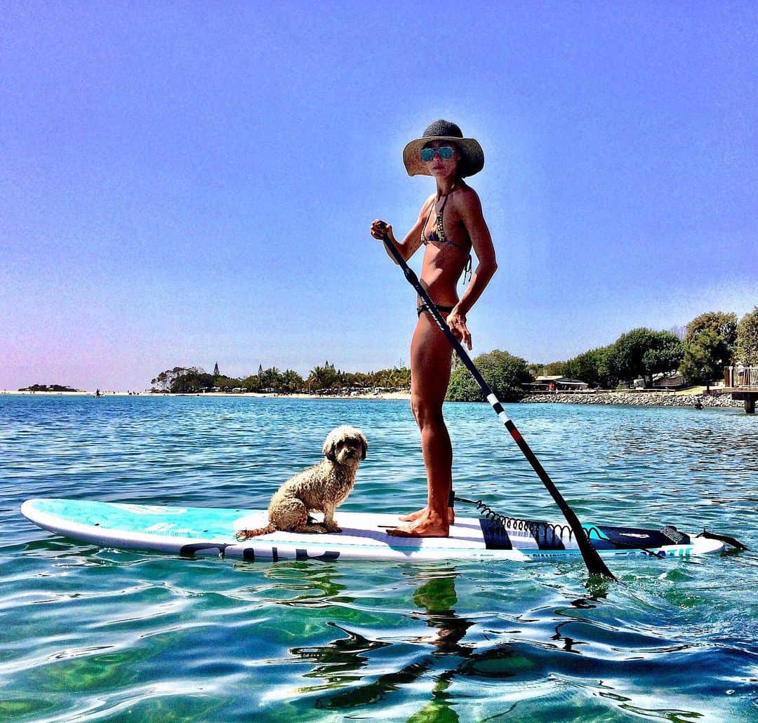 シャーニ・ヴィンソンさんのインスタグラム写真 - (シャーニ・ヴィンソンInstagram)「#heatwave #QLD #summertime #standup #paddleboarding #sunshinecoast #cottontree #beachlife #meandmydog 🐶 🏄🏽‍♀️」12月7日 13時43分 - sharnivinson