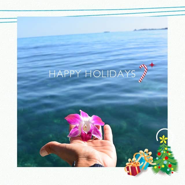 Luxury Cruise by Captain Bruceさんのインスタグラム写真 - (Luxury Cruise by Captain BruceInstagram)「ターキーデイも終わり、いよいよホリデーシーズン到来！⁠ クリスマスの空気がじわじわしてきます^^⁠ 🎁🎄⭐💍⚓🌺⁠ ⁠ ⁠ #captainbruce ⚓ #sandbar #kaneohe #hawaii #oahu #oahulife #vacation #travel #ahuolaka #happy #キャプテンブルース #天国の海ツアー #天国の海 #アフオラカ #ハワイ大好き #オアフ島 #絶景 #海」12月7日 14時25分 - cptbruce_hi