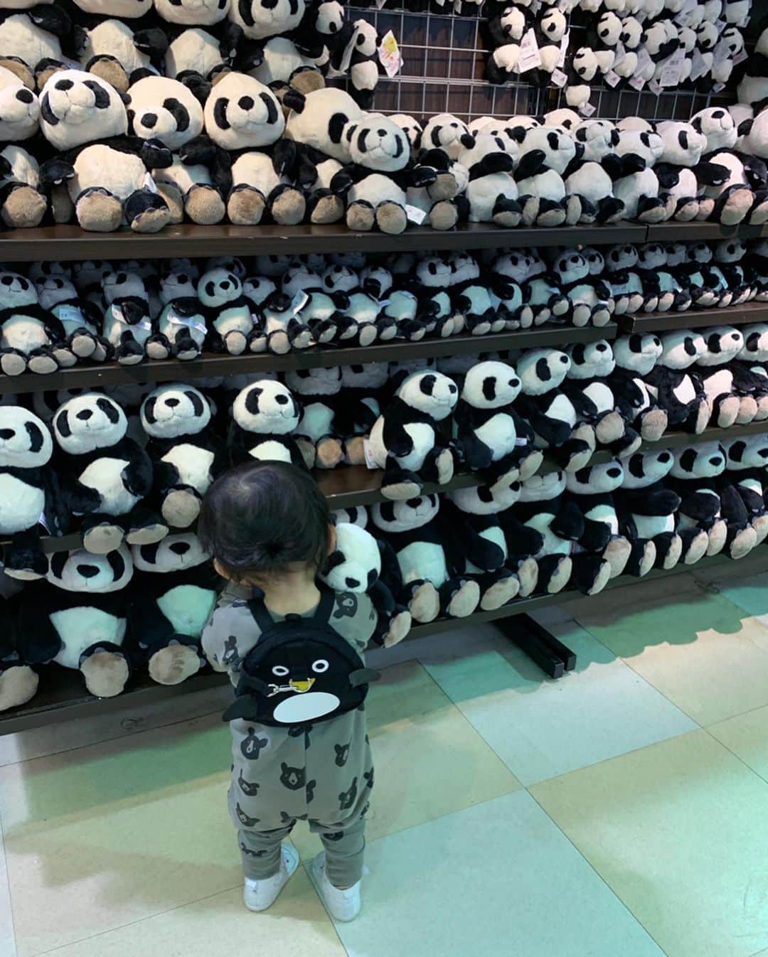 HALCALIさんのインスタグラム写真 - (HALCALIInstagram)「先日南紀白浜アドベンチャーワールドに行きました🐼すっごく空いてて東京じゃ並ばないと見られないパンダさんも見放題だったし、皇帝ペンギンの赤ちゃんだって可愛すぎてじーっと、ずーっと見てても誰にも邪魔されない🐧🐦🐧彼らの親子愛、最高でした😭泣けました😭イルカショーも最高だった、人間とイルカの愛、泣けました😭✨歩きたい盛りのむすめが自由に歩き回っても人に迷惑がかかることもなくって、のびのび楽しめました❣️絶対また行く🤩ライオンにご飯もあげたんだよー🦁むすめは鹿にご飯あげました！(ペペにいつもあげてるからか全然怖がらなかった🤣👌🏻)次はゾウさんとキリンさんにもご飯あげたいんだー🥰」12月7日 15時26分 - yucali_halcali