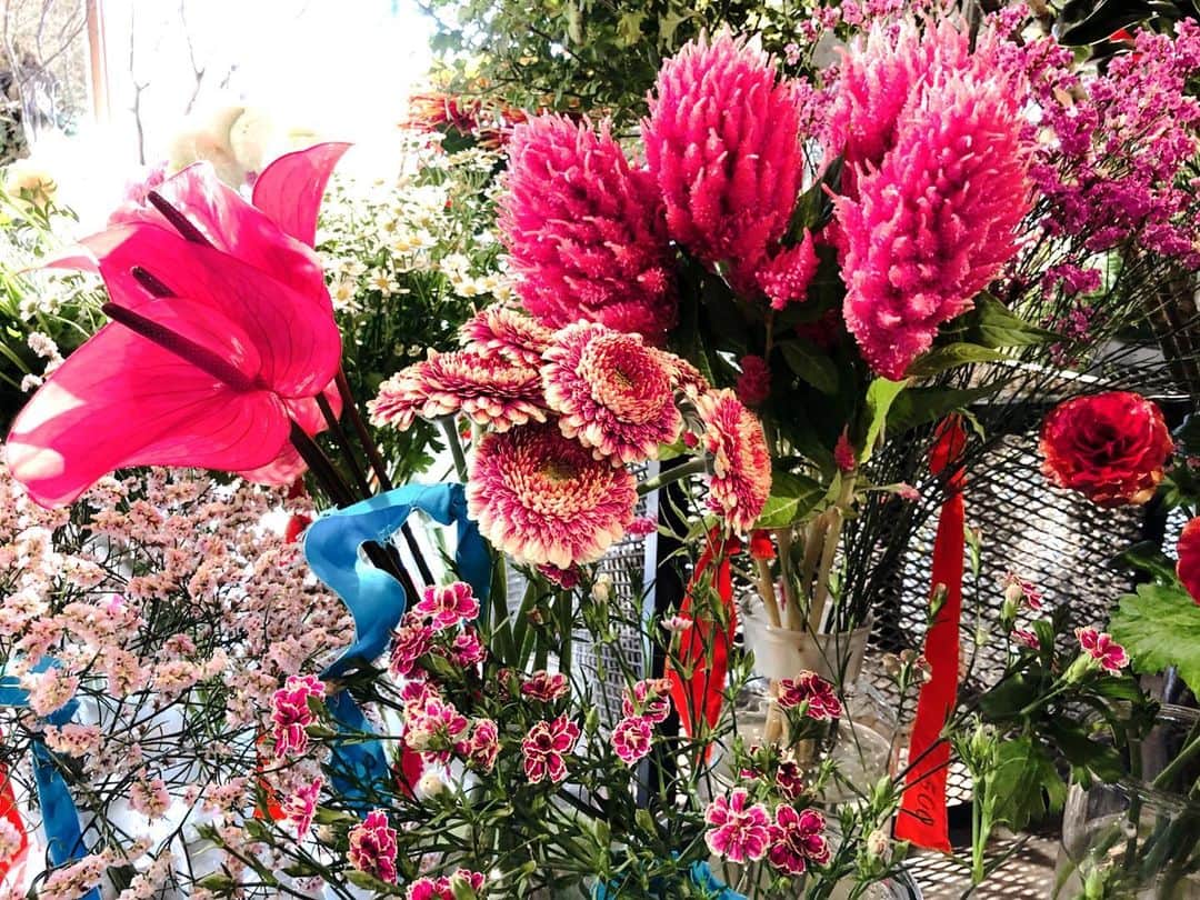 理絵さんのインスタグラム写真 - (理絵Instagram)「癒し💗  #flowers #flower #fiore #꽃 #花 #tokyo #japan」12月7日 15時54分 - ____rie____