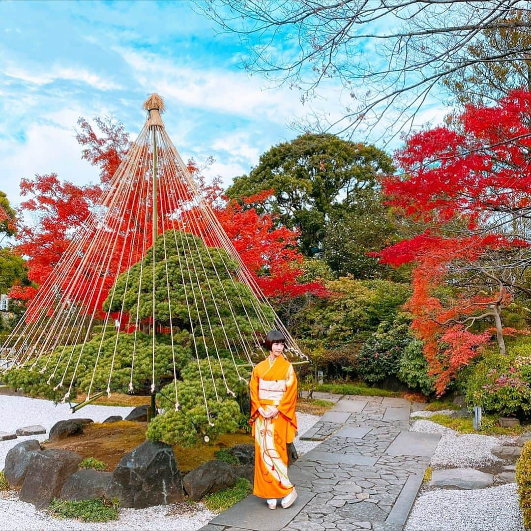 清川あさみさんのインスタグラム写真 - (清川あさみInstagram)「お正月の特番のロケ地が美しすぎた👘🍁ほんとに素晴らしい先生達とご一緒させて頂き..楽しかったです🙏 #またお知らせします🇯🇵 #nature #history  #japan #kimono #culture #coll #御簾 #着物 #笙 #刺繍のアンティークの帯 #梅 #紅葉　#日本文化」12月7日 15時59分 - asami_kiyokawa