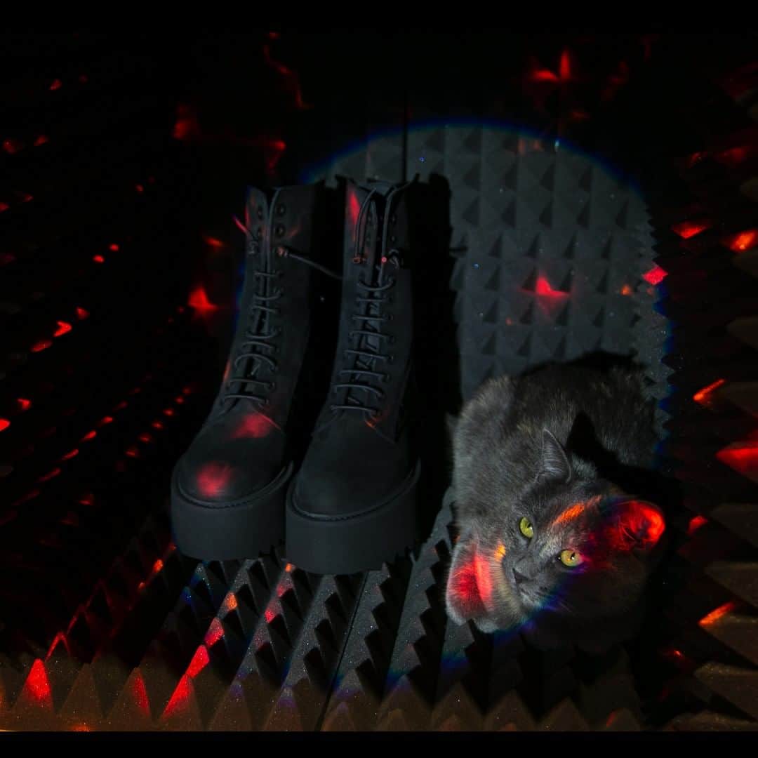 ブルーノボルデーゼさんのインスタグラム写真 - (ブルーノボルデーゼInstagram)「#PAOLA by BRUNOBORDESE Cat and light . . . . SHOP NOW www.brunobordese.com . . . . #sport #man #brunobordese #shoesoftheday #shoes #black #socks #footwear #igsneakers #style #italianshoes #luxury #special #chains」12月8日 3時00分 - brunobordese_official