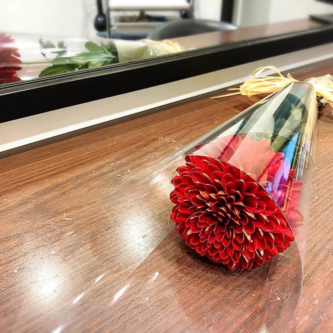 三田友梨佳さんのインスタグラム写真 - (三田友梨佳Instagram)「ほんの気持ちですが、 昔からお世話になっている美容師さんへ。 存在感のあるとっても素敵なお花なので、あえて一輪で…♪♪ #お花 #もらうのもあげるの #両方好きです」12月7日 18時08分 - yurikamita_official