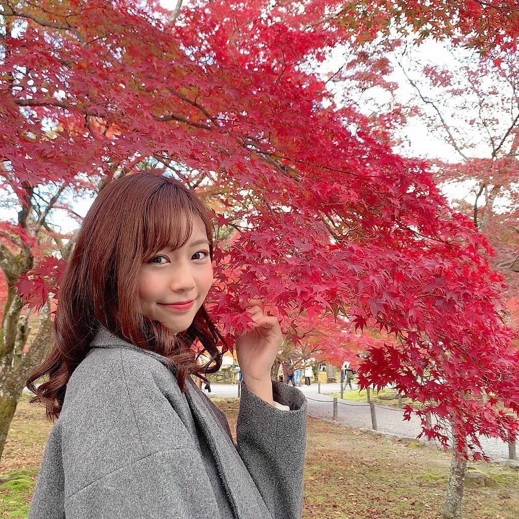 セントフォースさんのインスタグラム写真 - (セントフォースInstagram)「こんばんは！﻿ 杉浦みずきです😊﻿ 先日、京都で紅葉狩りをしてきました🍁﻿ 大学が京都なので、もう毎年の恒例行事になっています。﻿ 京都の紅葉は日本一だと思うので、秋から冬にかけて、関西に来る機会があったらぜひ京都の紅葉をみてください！✨﻿ ﻿ ﻿ #杉浦みずき (@mizuki_sugiura )﻿ #セントフォース ﻿ #centforce ﻿ #アナウンサー ﻿ #紅葉狩り ﻿ #京都 ﻿」12月7日 18時13分 - centforce.official