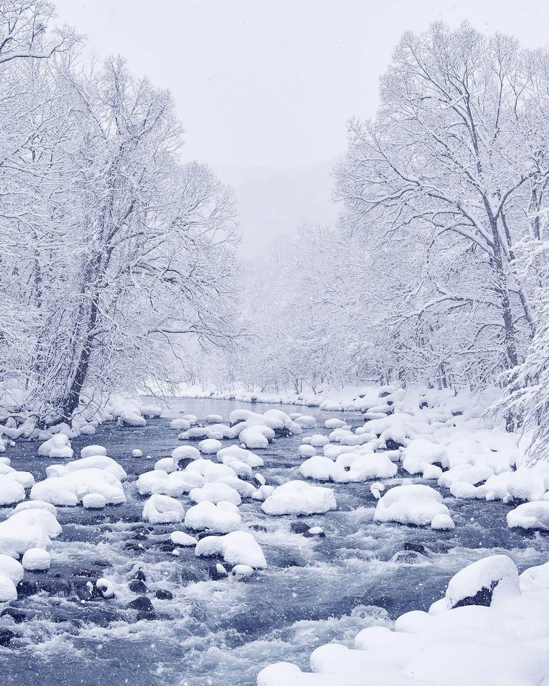 のインスタグラム：「Oirase river Aomori 奥入瀬川」