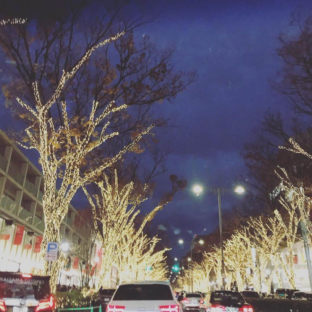 野波麻帆さんのインスタグラム写真 - (野波麻帆Instagram)「. 気付けばもうすぐクリスマス。 いつもの街が慌ただしく、 賑やかになってきました。🎄🎅」12月7日 19時31分 - mahononami