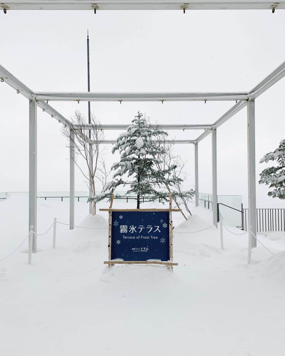 舞川あいくさんのインスタグラム写真 - (舞川あいくInstagram)「星野リゾート トマム☃️🏔❄️ 去年につづき、 今年の冬も星野リゾートトマムに来ました✈️ 展望ジェットバスからの雪景色がだいすき 気の赴くままに贅沢な時間を過ごしていました。 とても充実した3日間だったなぁ😊❤️ . . #hokkaido #tomamu #winter  #desember #星野リゾートトマム」12月7日 19時39分 - aiku_0817__