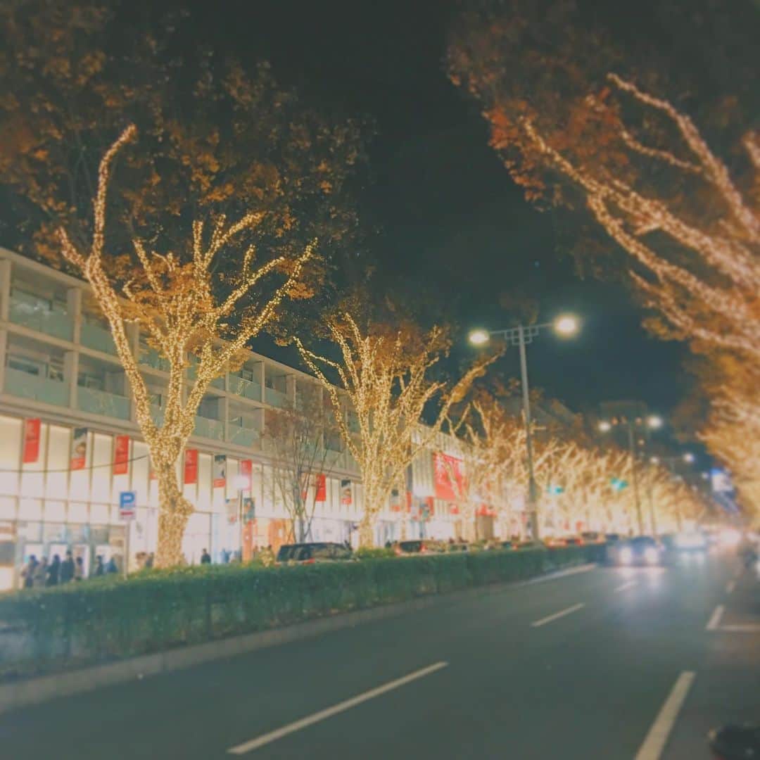 antenna* officialのインスタグラム：「#表参道 沿いを華やかに彩る#マジックイルミネーション #2019 ✨約90万灯の光は、つい足を止めてしまう美しさ😍開催期間中（クリスマスまで）は17〜21時までの毎時00分から10分間、光と音楽のスペシャルなショーを開催中💫﻿ ﻿ #キュレーション #アプリ antenna_JP では、このほかにも各地の#イルミ をご紹介しています🎄✨」